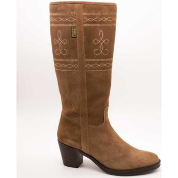 Topánky Žena Čižmy Dakota Boots  Béžová
