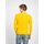 Oblečenie Muž Svetre Antony Morato MMSW01180 YA200070 Žltá