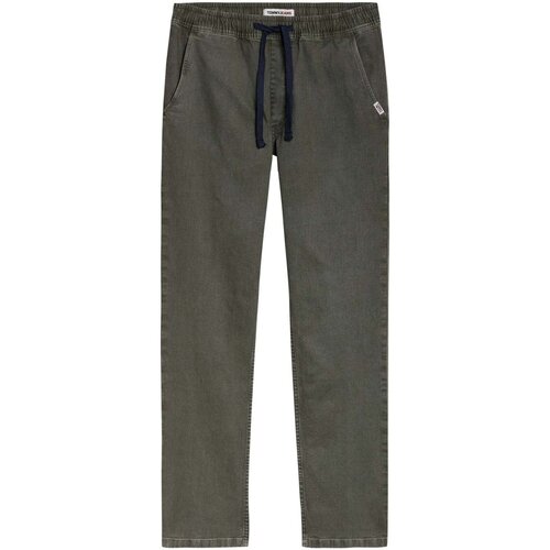 Oblečenie Muž Nohavice Tommy Jeans DM0DM12762 Zelená