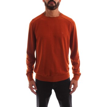 Oblečenie Muž Tričká s krátkym rukávom Calvin Klein Jeans K10K110477 Hnedá