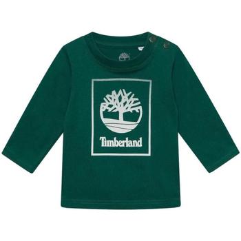 Oblečenie Chlapec Tričká s krátkym rukávom Timberland  Zelená