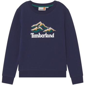 Oblečenie Chlapec Mikiny Timberland  Modrá