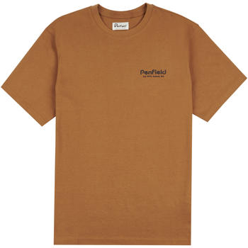 Oblečenie Muž Tričká a polokošele Penfield T-shirt  Arc Mountain Back Graphic Hnedá