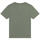 Oblečenie Chlapec Tričká s krátkym rukávom Timberland T25T87 Kaki