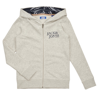 Oblečenie Chlapec Mikiny Jack & Jones JORCRAYON SWEAT ZIP HOOD Béžová