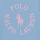 Oblečenie Dievča Tričká s krátkym rukávom Polo Ralph Lauren SS GRAPHIC T-KNIT SHIRTS-T-SHIRT Modrá / Modrá / Ružová