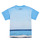 Oblečenie Chlapec Tričká s krátkym rukávom Desigual TS_ALBERT Modrá