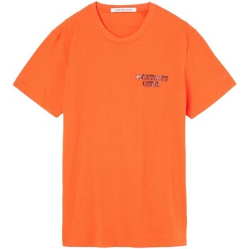 Oblečenie Muž Tričká s krátkym rukávom Calvin Klein Jeans J30J321772 Oranžová
