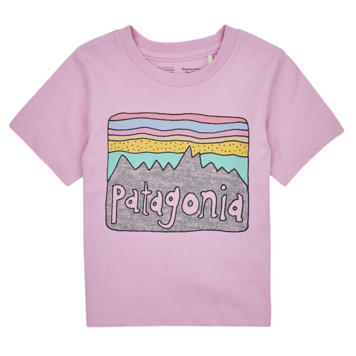 Oblečenie Deti Tričká s krátkym rukávom Patagonia Baby Regenerative Organic Certified Cotton Fitz Roy Skies T- Fialová