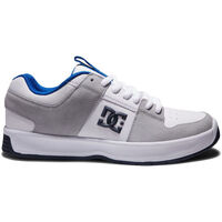 Topánky Muž Módne tenisky DC Shoes Lynx zero ADYS100615 WHITE/BLUE/GREY (XWBS) Biela