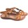 Topánky Žena Univerzálna športová obuv Amarpies Dámske  17064 abz koža Hnedá