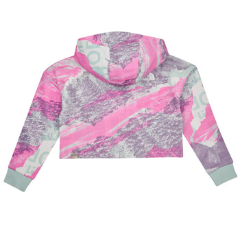 The North Face Girls Drew Peak Light Hoodie Viacfarebná