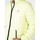Oblečenie Muž Bundy  Pepe jeans PM402468 | Larkin Zelená