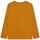 Oblečenie Chlapec Tričká s krátkym rukávom Timberland T25U36-575-J Žltá