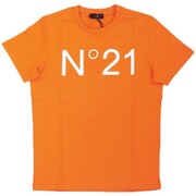 N21173