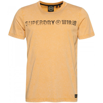 Oblečenie Muž Tričká a polokošele Superdry Vintage corp logo Béžová