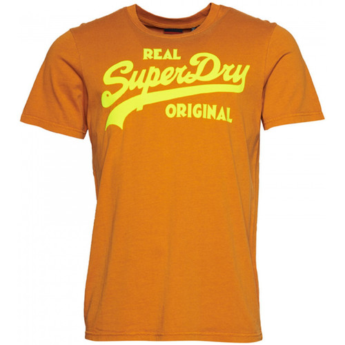 Oblečenie Muž Tričká a polokošele Superdry Vintage vl neon Hnedá