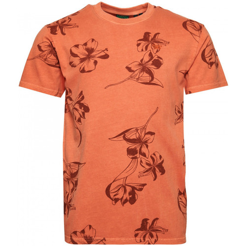 Oblečenie Muž Tričká a polokošele Superdry Vintage od printed Oranžová
