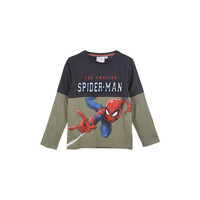 Oblečenie Chlapec Tričká s dlhým rukávom TEAM HEROES  T SHIRT SPIDERMAN Šedá