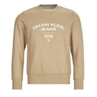 Oblečenie Muž Mikiny Calvin Klein Jeans VARSITY CURVE CREW NECK Béžová