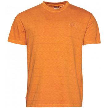 Oblečenie Muž Tričká a polokošele Superdry Vintage texture Oranžová
