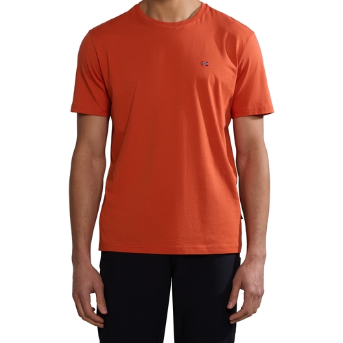 Oblečenie Muž Tričká s krátkym rukávom Napapijri 236346 Oranžová