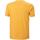 Oblečenie Muž Tričká s krátkym rukávom Helly Hansen  Žltá