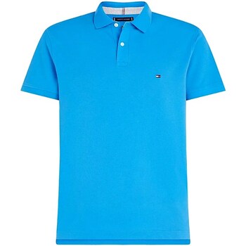 Oblečenie Muž Polokošele s krátkym rukávom Tommy Hilfiger MW0MW17770 Modrá