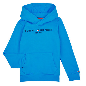 Oblečenie Deti Mikiny Tommy Hilfiger ESTABLISHED LOGO Modrá