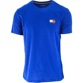 Oblečenie Muž Tielka a tričká bez rukávov Tommy Hilfiger Tommy 85 Logo Relaxed Fit Modrá