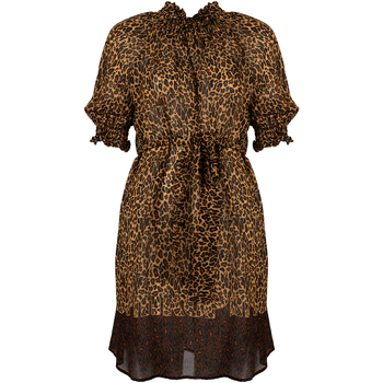 Oblečenie Žena Krátke šaty Pinko 1Q16PY Y7DP | Avinguda Čierna