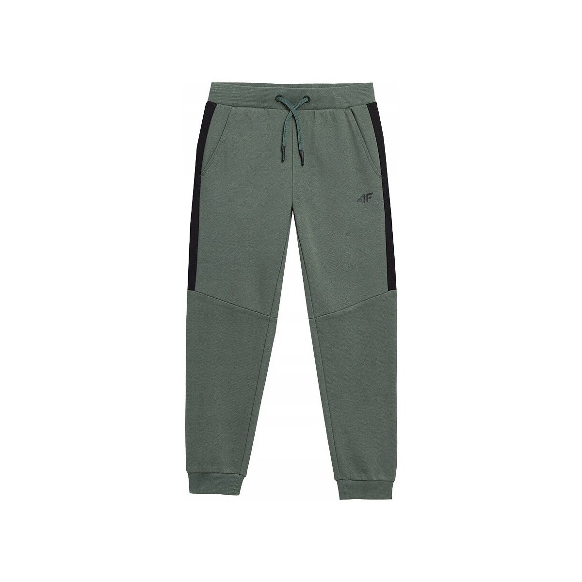 Oblečenie Chlapec Nohavice 4F JSPMD002 Zelená