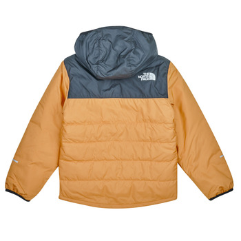 The North Face Boys Never Stop Synthetic Jacket Hnedá