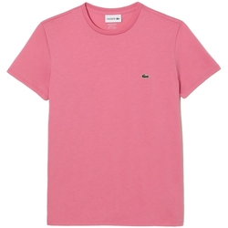 Oblečenie Muž Tričká a polokošele Lacoste Pima Cotton T-Shirt - Rose Ružová