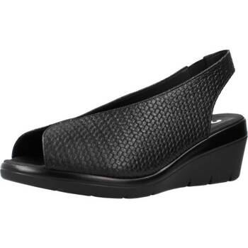 Topánky Žena Sandále 24 Hrs 25656 Čierna