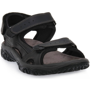 Topánky Muž Sandále Imac PACIFIC Čierna