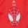 Oblečenie Chlapec Tričká s krátkym rukávom Adidas Sportswear LB DY SM T Červená / Biela