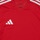 Oblečenie Deti Tričká s krátkym rukávom adidas Performance TIRO 23 JSY Y Červená / Biela