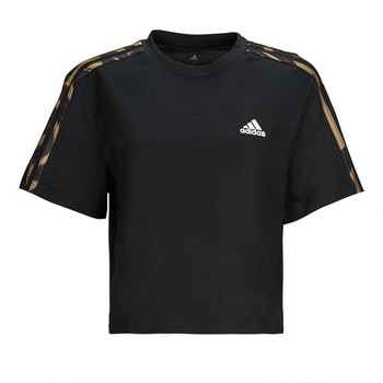 Oblečenie Žena Tričká s krátkym rukávom Adidas Sportswear VIBAOP 3S CRO T Čierna / Zlatá