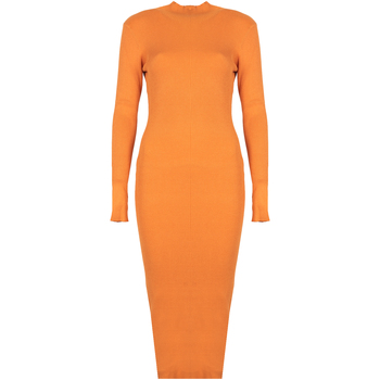Oblečenie Žena Krátke šaty Silvian Heach PGA22208VE Oranžová
