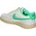 Topánky Muž Univerzálna športová obuv Nike FJ5437-133 Béžová
