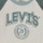 Oblečenie Chlapec Tričká s dlhým rukávom Levi's PREP COLORBLOCK LONGSLEEVE Biela / Zelená