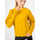 Oblečenie Žena Svetre Pinko 1G166W Y79B | Chianti Žltá