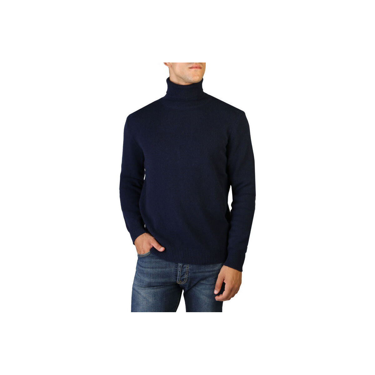 Oblečenie Muž Svetre 100% Cashmere Jersey roll neck Modrá
