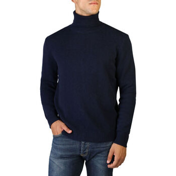 Oblečenie Muž Svetre 100% Cashmere Jersey roll neck Modrá