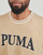 Oblečenie Muž Tričká s krátkym rukávom Puma PUMA SQUAD BIG GRAPHIC TEE Béžová