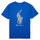 Oblečenie Chlapec Tričká s krátkym rukávom Polo Ralph Lauren SS CN-KNIT SHIRTS-T-SHIRT Modrá