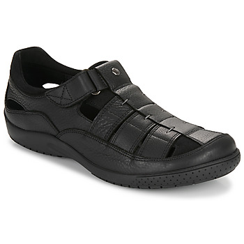 Topánky Muž Sandále Panama Jack MERIDIAN C25 Čierna
