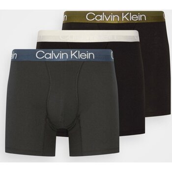 Spodná bielizeň Muž Boxerky Calvin Klein Jeans 000NB2971A Viacfarebná