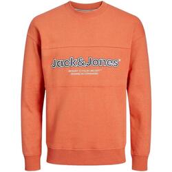 Oblečenie Chlapec Mikiny Jack & Jones  Oranžová